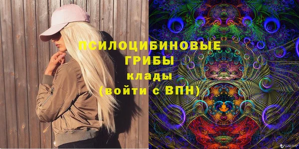 дурь Карпинск