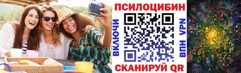 где продают   Боровск  Галлюциногенные грибы мухоморы 
